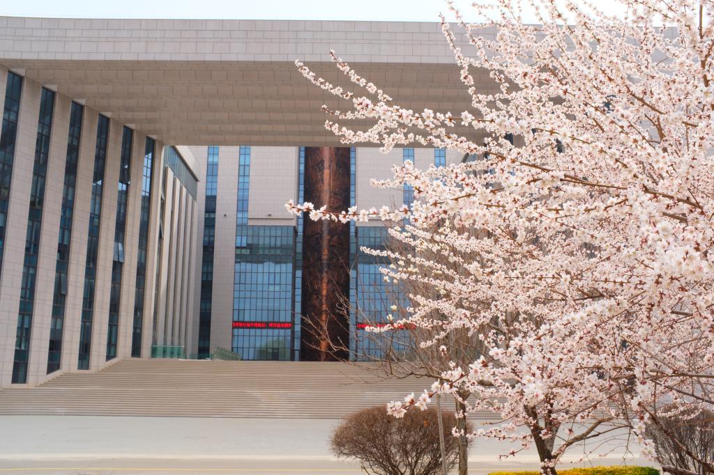 醉美工大四月天