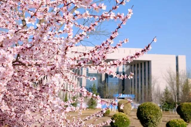 春满工大关不住